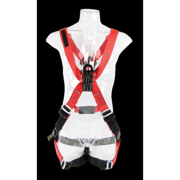 Bashlin "X" Style Harness with nylon loop back attachment Q683XAX-M