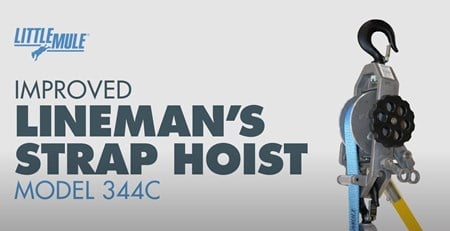 Little Mule Strap Hoist 2-Ton