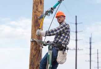 Little Mule Strap Hoist 2-Ton With Hotstick Ring
