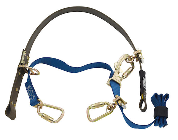 3M DBI Sala Cynch-Lok Fall Restricting Pole Strap for Distribution ...